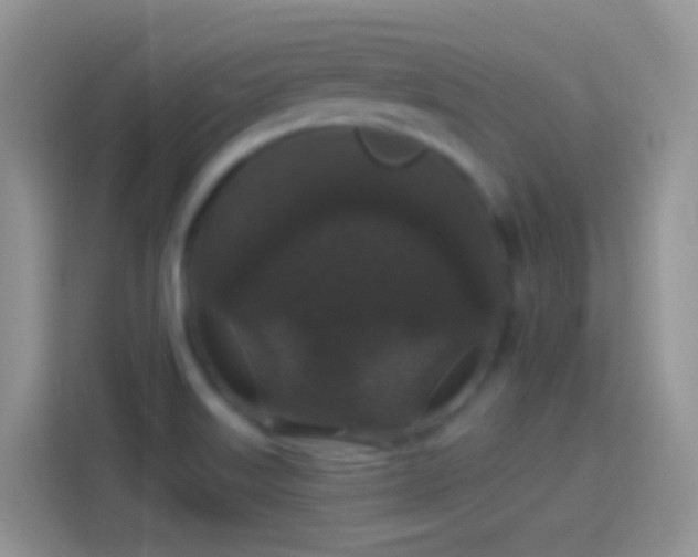 X0000114121515200910131352