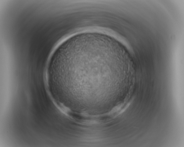 X0000114121517200910131352