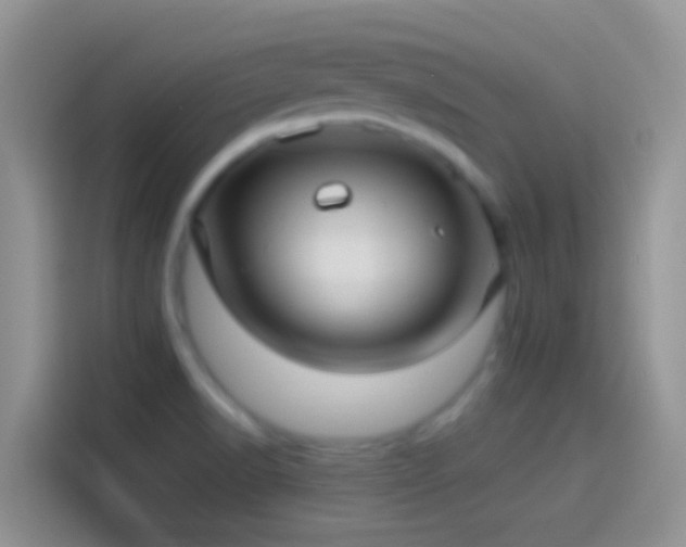 X0000114121518200910131352