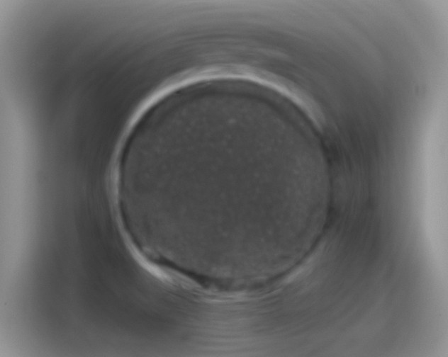 X0000114121519200910131352