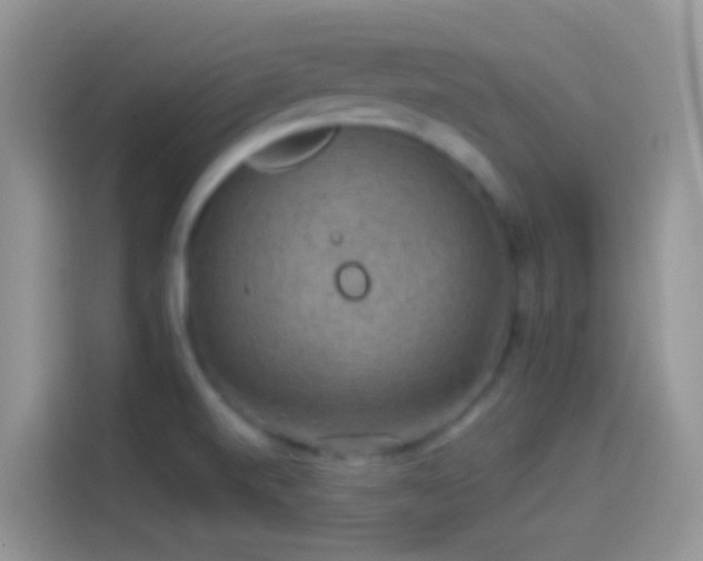 X0000114121520200910131352