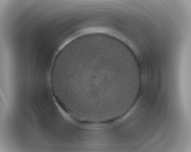 X0000114121521200910131352