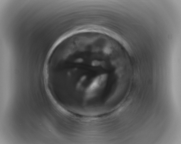 X0000114121522200910131352