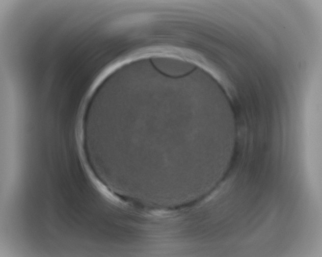 X0000114121523200910131352