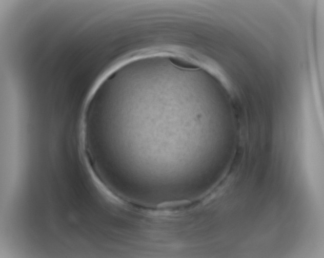 X0000114121524200910131352