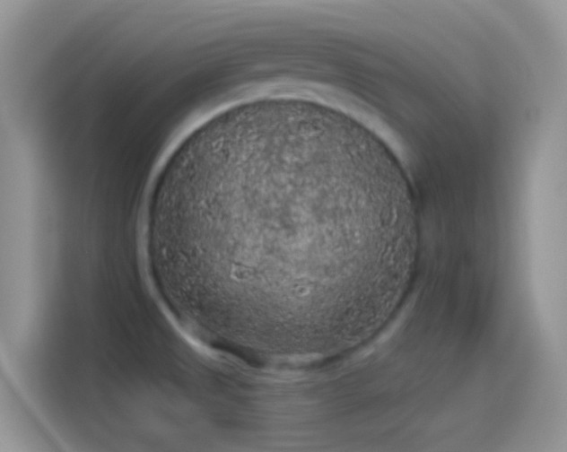 X0000114121525200910131353