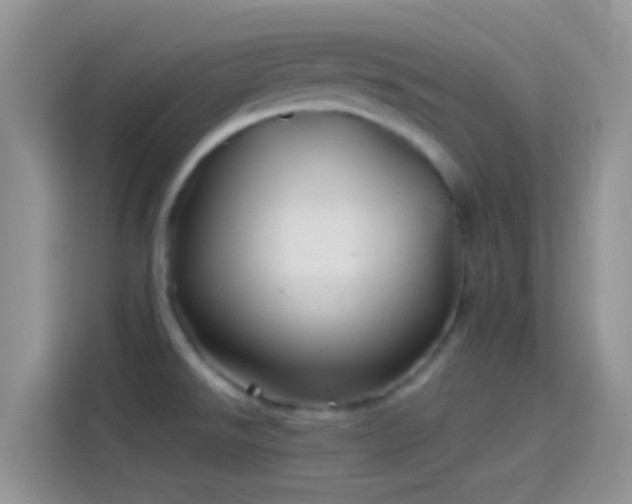 X0000114121526200910131353