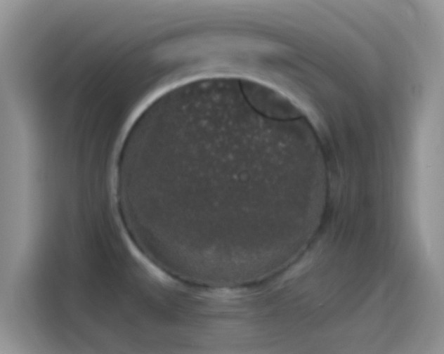 X0000114121527200910131353