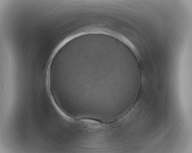 X0000114121528200910131353