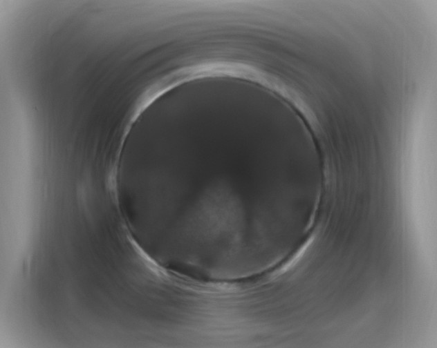 X0000114121529200910131353