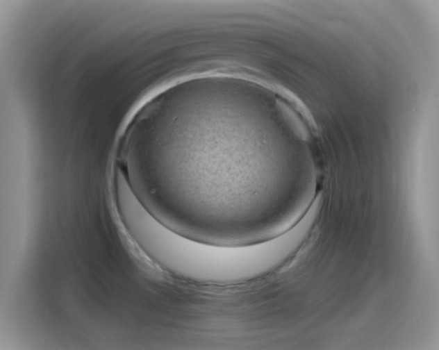 X0000114121530200910131353