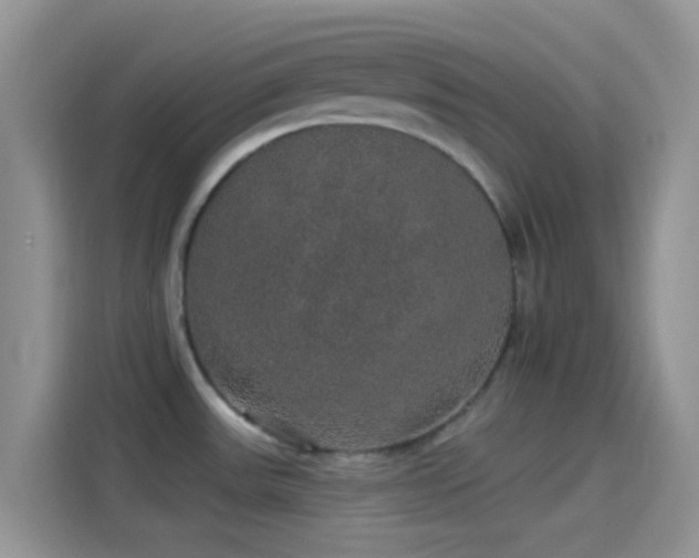 X0000114121531200910131353