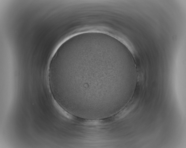 X0000114121532200910131353