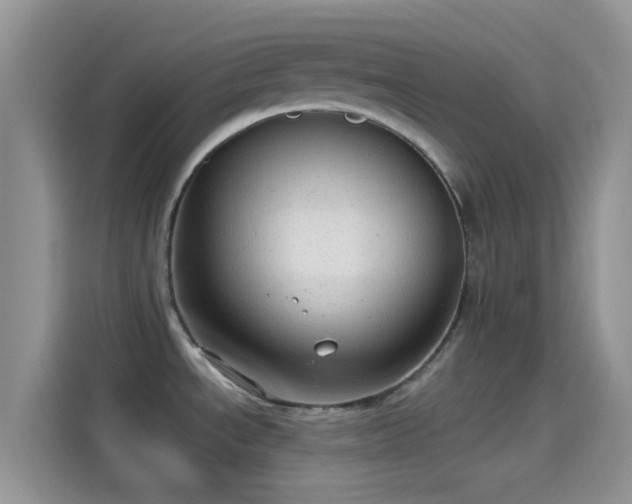 X0000114121534200910131353