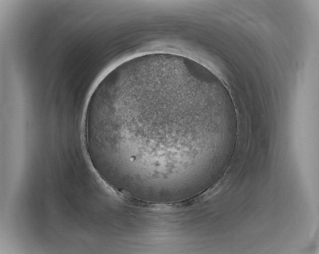 X0000114121536200910131353