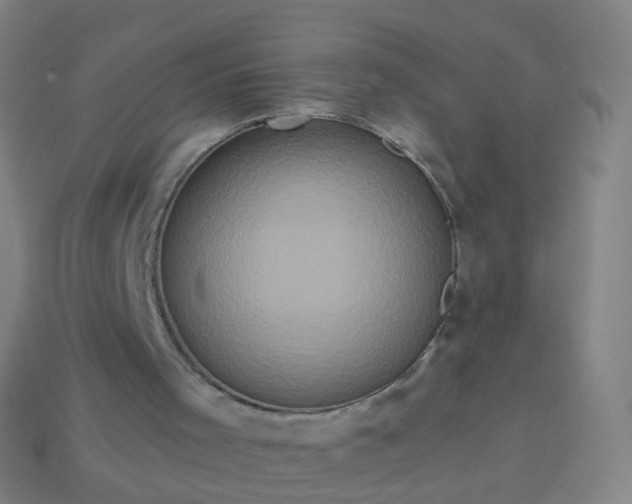 X0000114120001200910191733