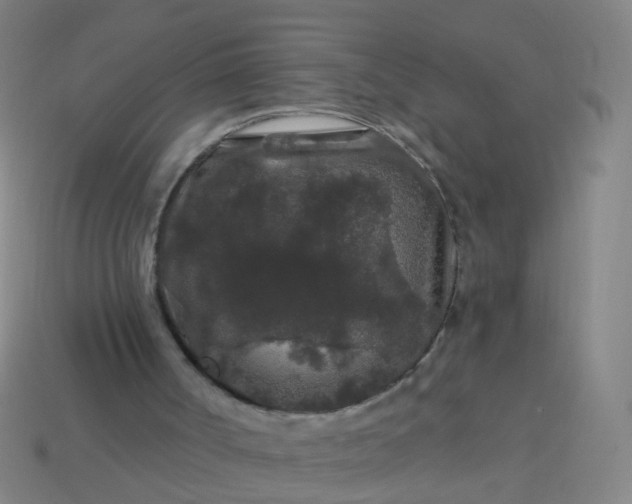 X0000114120002200910191733