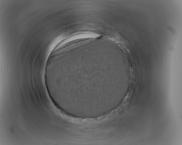 X0000114120003200910191733