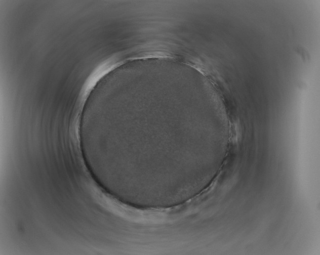 X0000114120004200910191733