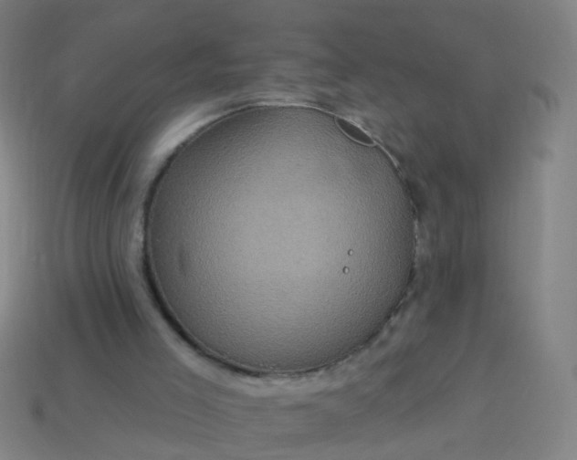 X0000114120005200910191733