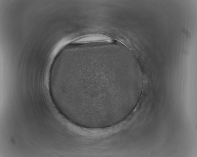 X0000114120006200910191733