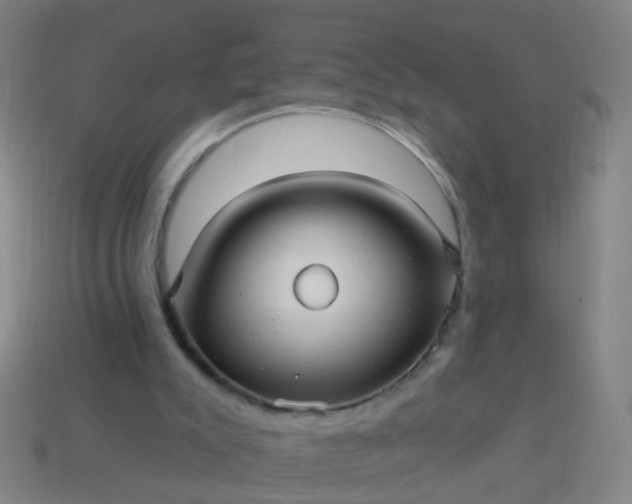 X0000114120007200910191733