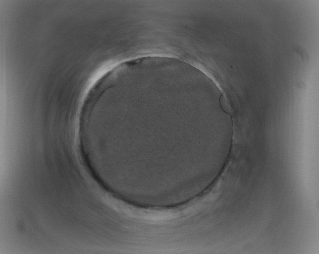 X0000114120008200910191733