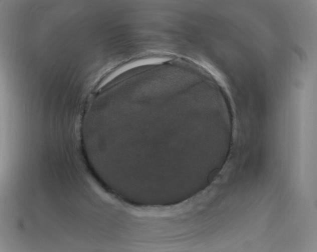 X0000114120009200910191733