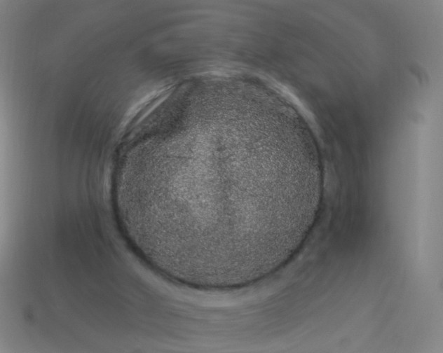 X0000114120010200910191733