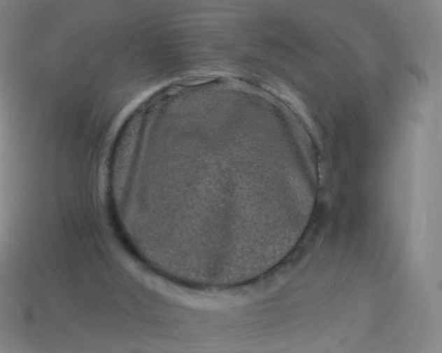 X0000114120012200910191733