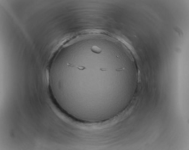 X0000114120013200910191733