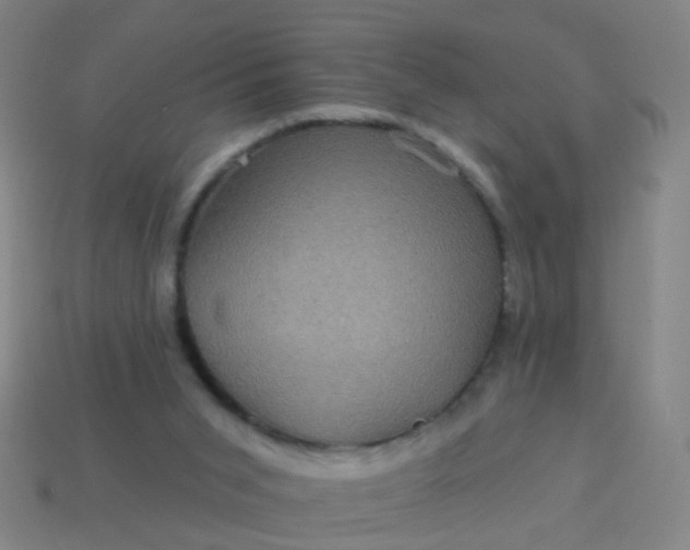 X0000114120015200910191732