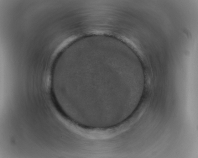 X0000114120016200910191732