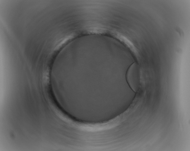 X0000114120017200910191732