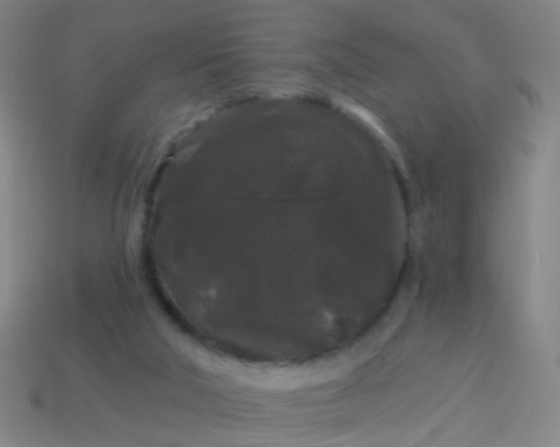 X0000114120018200910191732