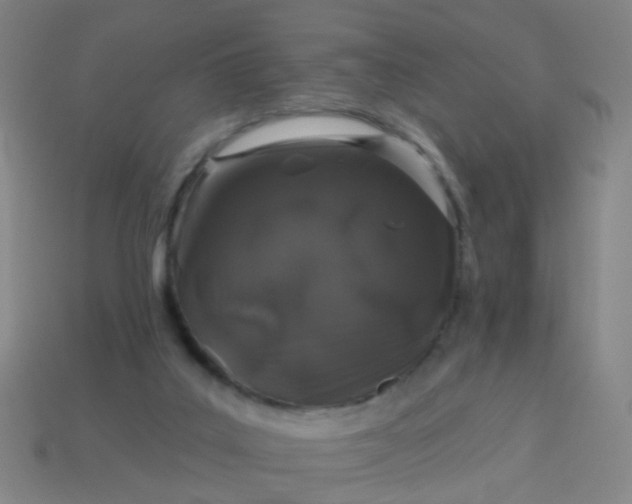 X0000114120019200910191732