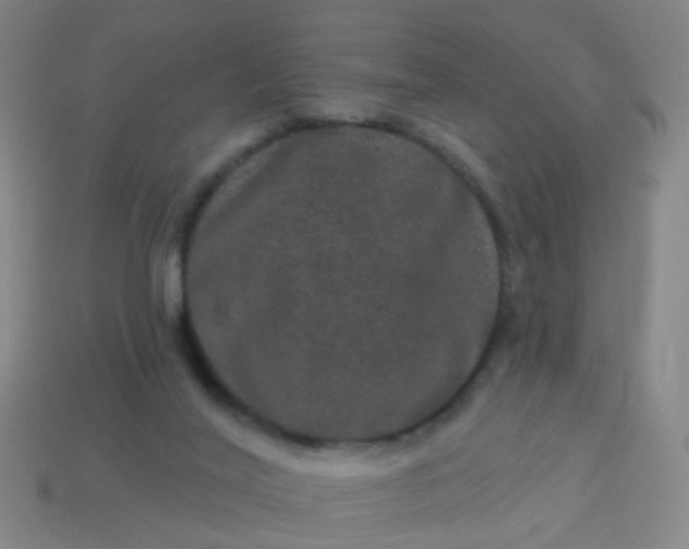 X0000114120020200910191732