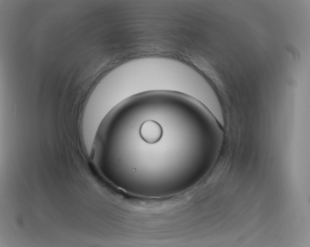 X0000114120021200910191732