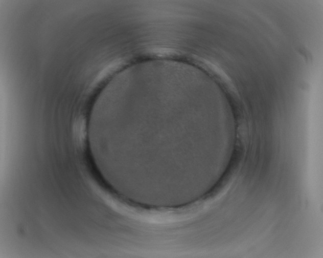 X0000114120024200910191732