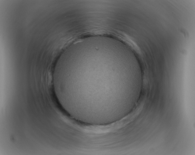 X0000114120025200910191732