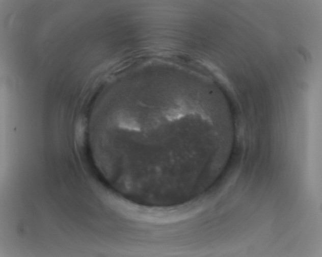 X0000114120026200910191732