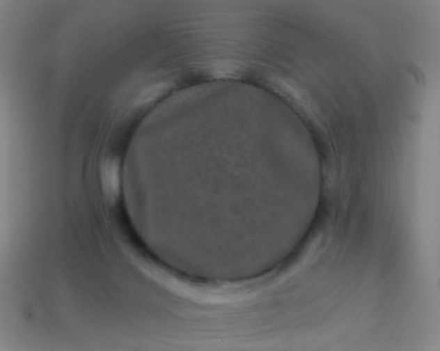 X0000114120028200910191732