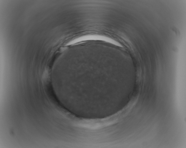 X0000114120029200910191732