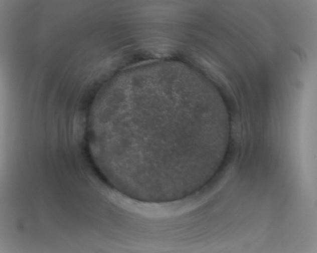 X0000114120030200910191732