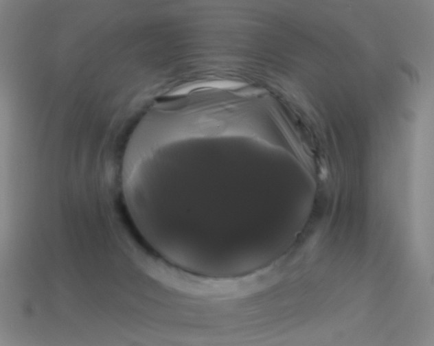 X0000114120031200910191732