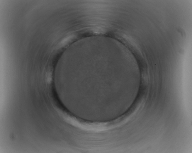 X0000114120032200910191732