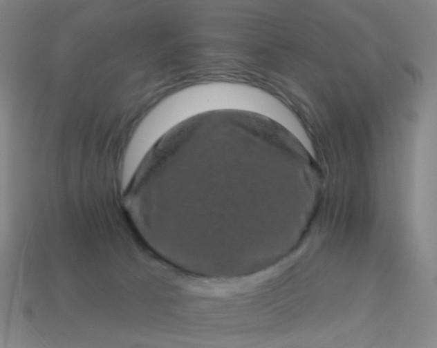 X0000114120033200910191732