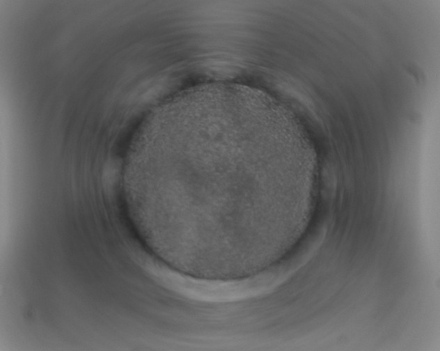 X0000114120034200910191732