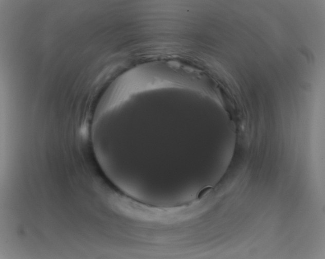 X0000114120035200910191732