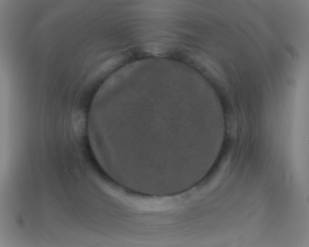 X0000114120036200910191732